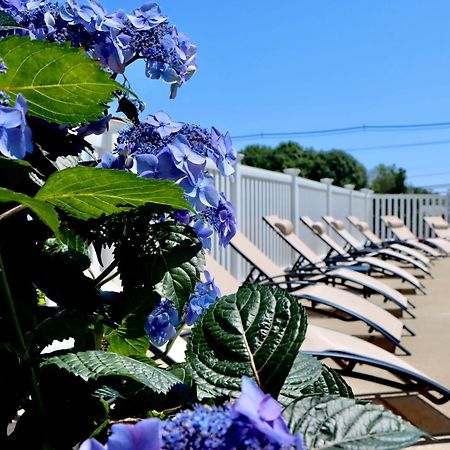 Sea View Motel Ogunquit Zewnętrze zdjęcie