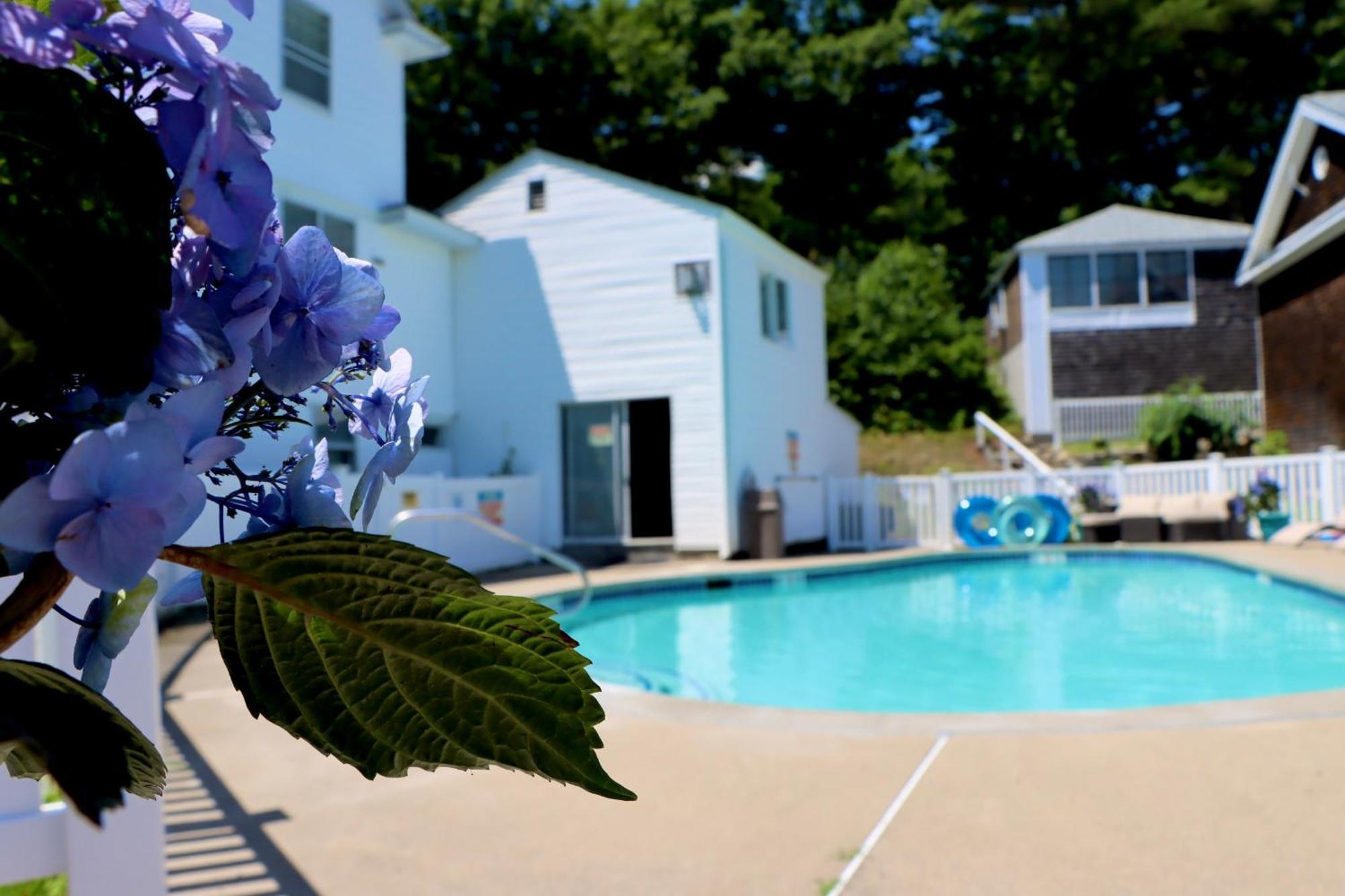 Sea View Motel Ogunquit Zewnętrze zdjęcie